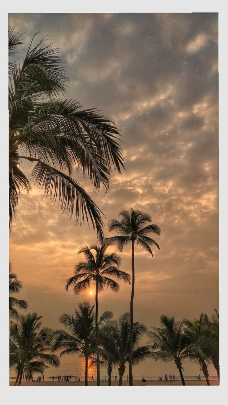 Tropical greenery