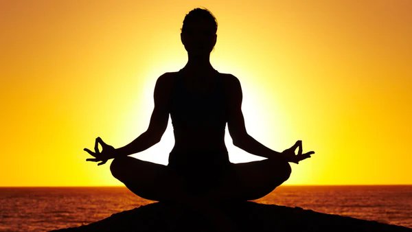 7 Areas of Life Wheel - Holistic Wellness India