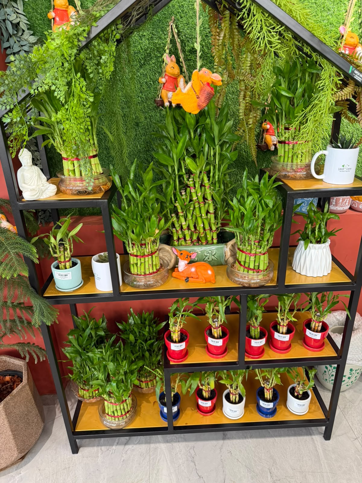 Designer planters by plants designer in Noida at Leaf N Dew garden centre