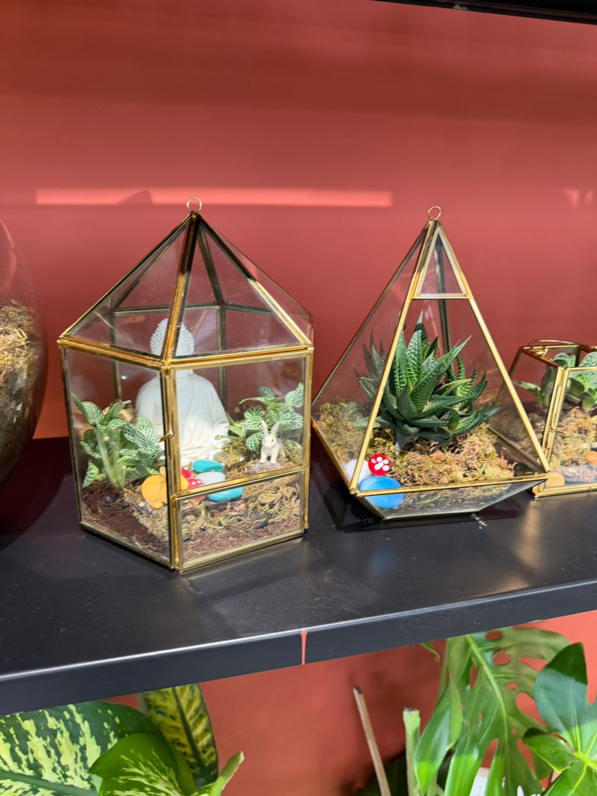 Terrarium by plants designer in Noida at Leaf N Dew