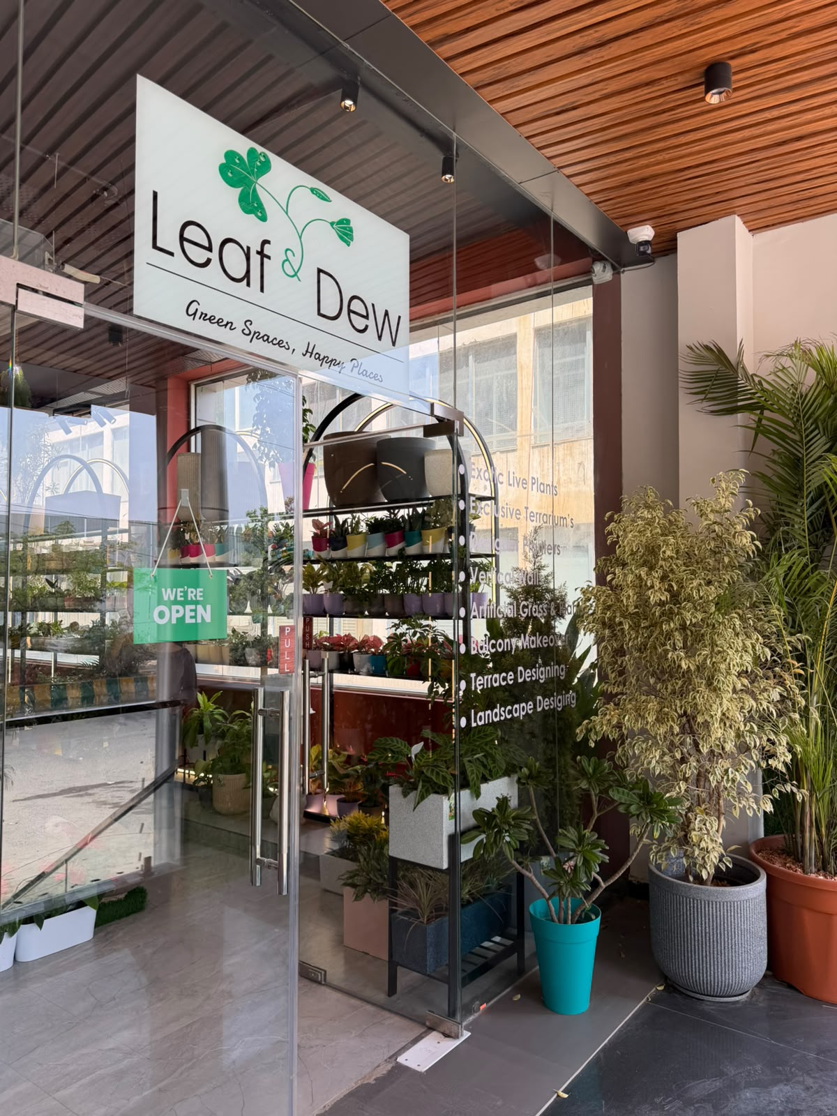 Outdoor plants by plants designer in Noida at Leaf N Dew Sector 104