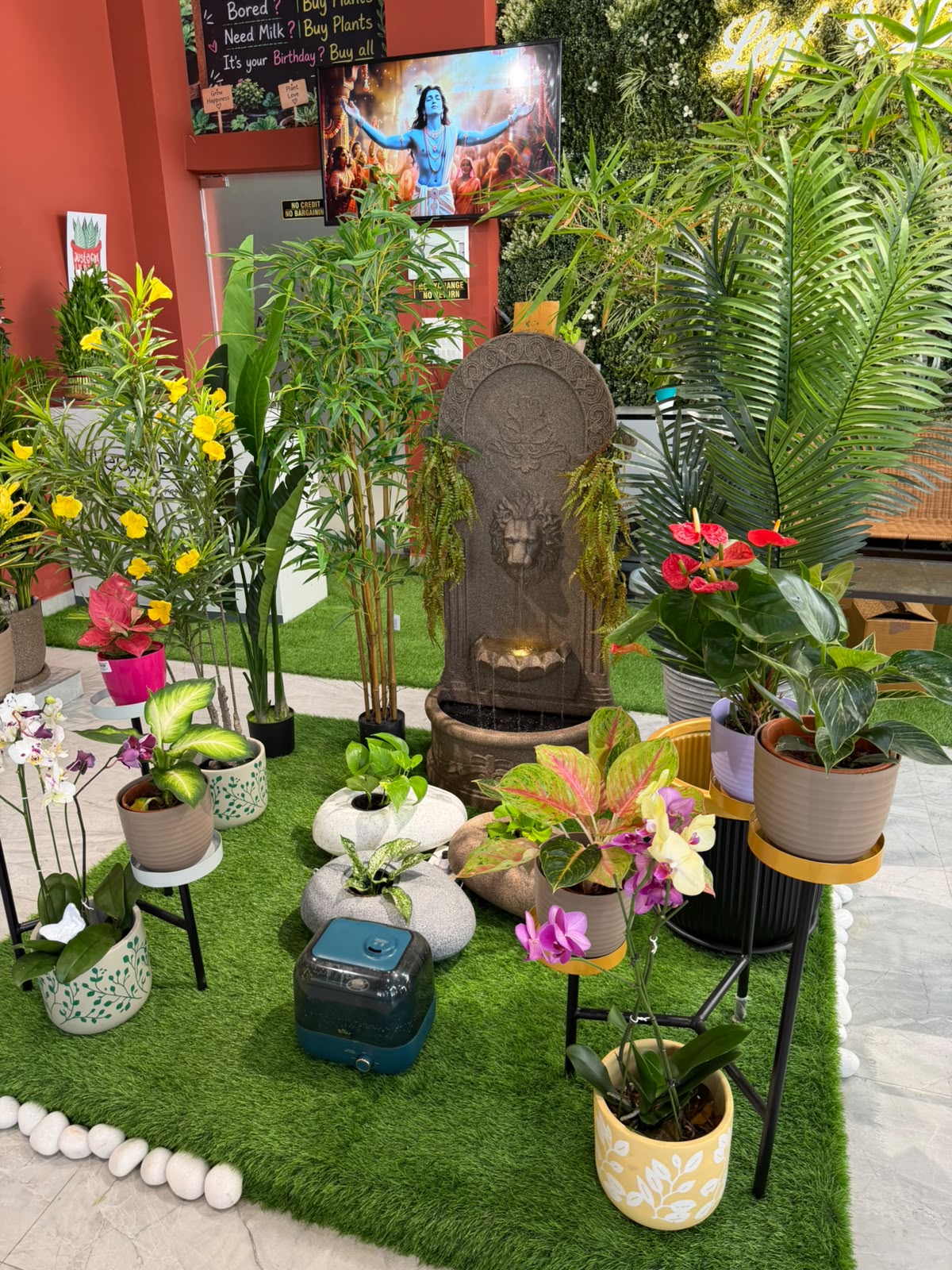 Balcony garden makeover by plants designer in Noida at Leaf N Dew