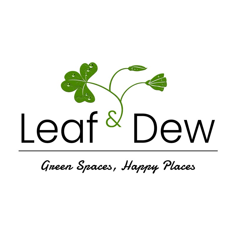 Leaf N Dew - Best Plants Designer in Noida Logo