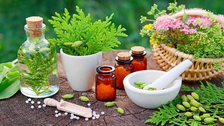 Naturopathy treatment in Surat, Gujarat
