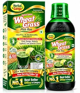 Herbal Ganga Wheatgrass Ras Sugar Free Ayurvedic immunity booster from Indore