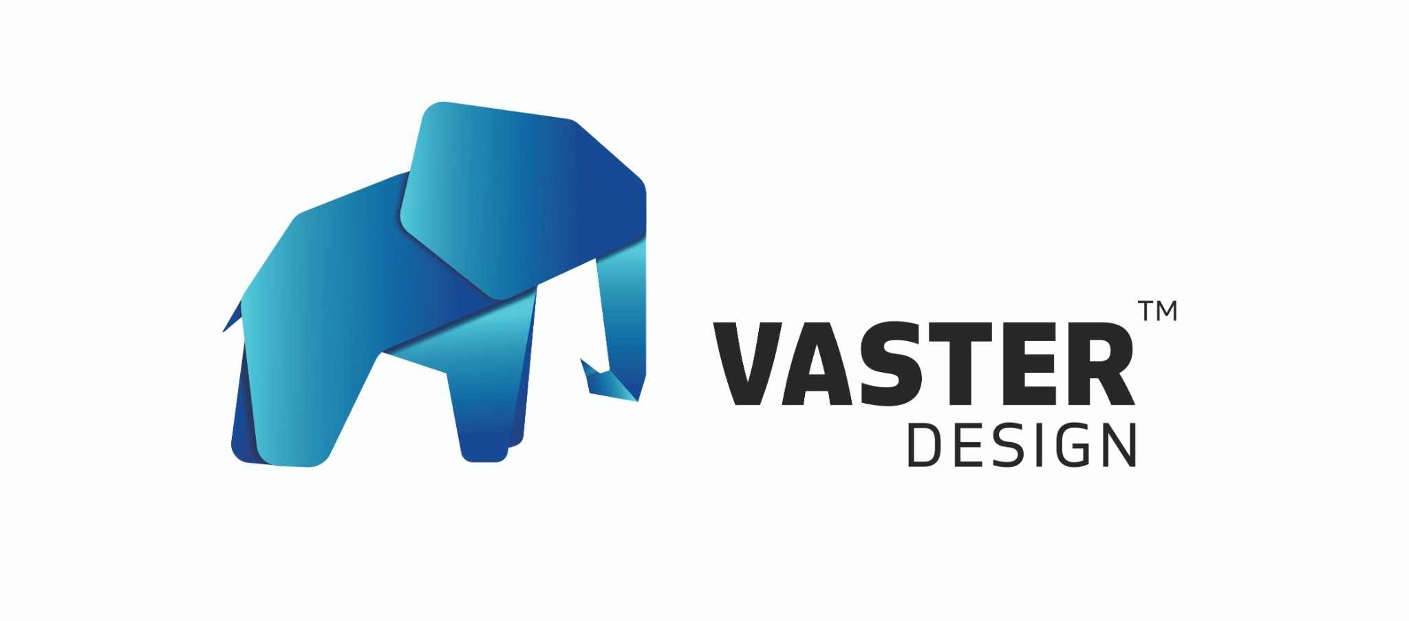Vaster Logo
