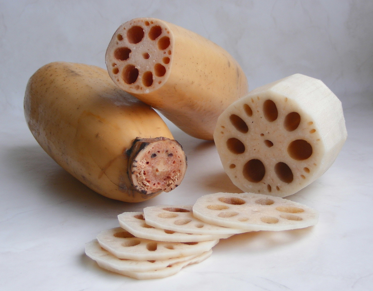Fresh Lotus Root