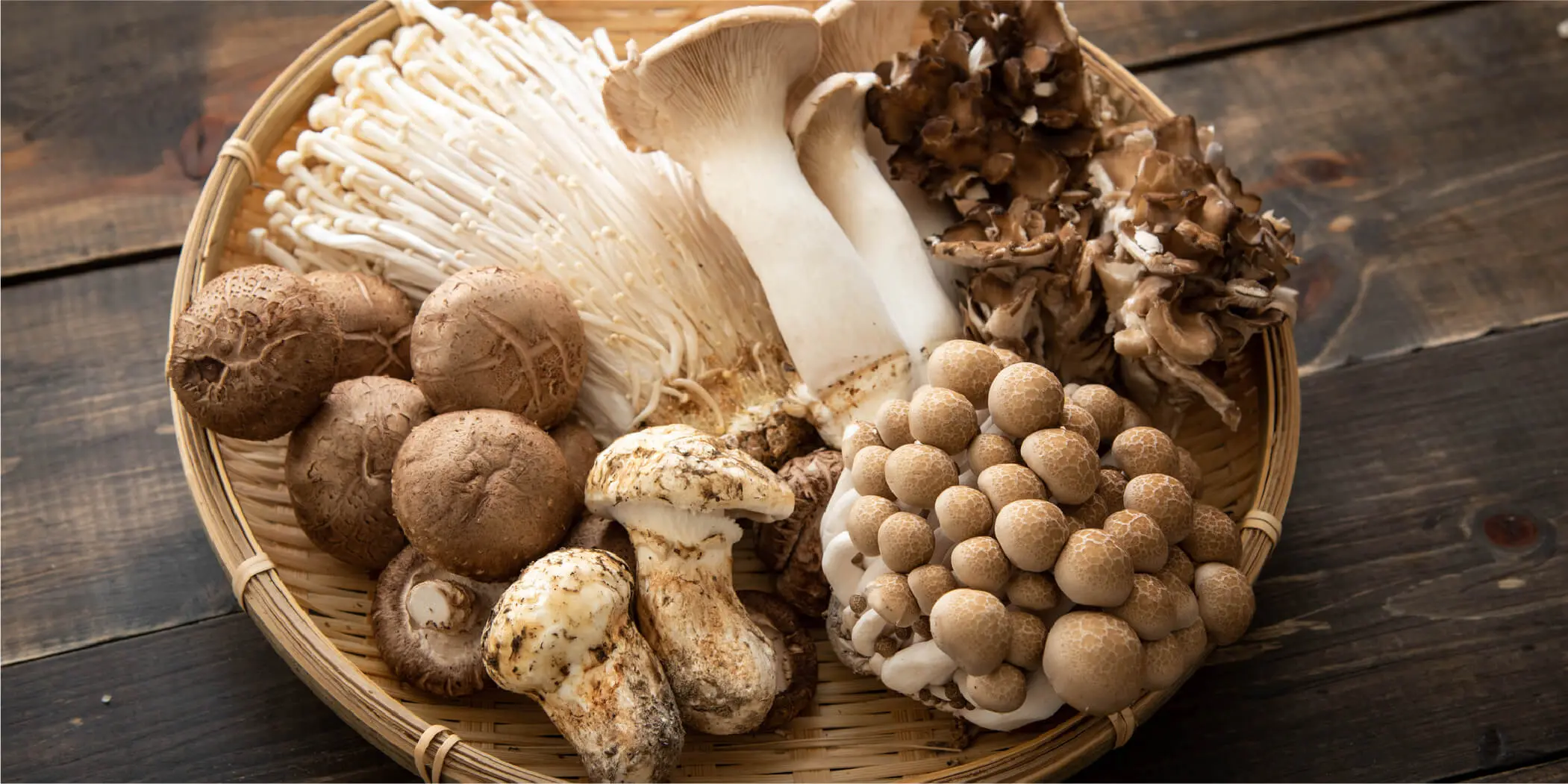 All Types of Mushrooms