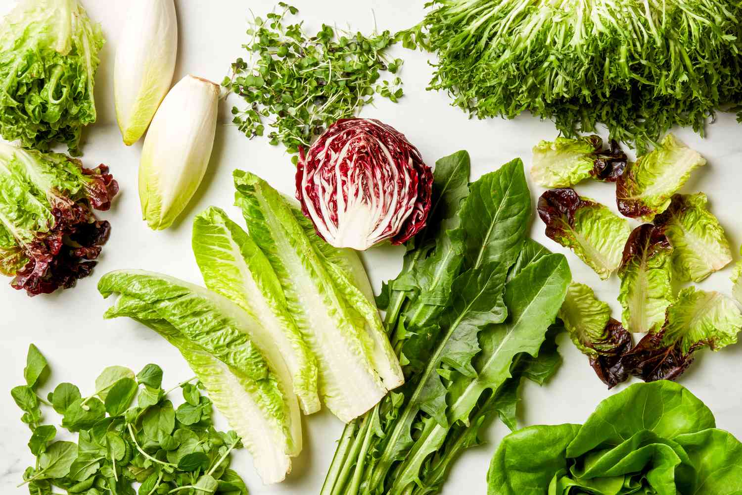 All Types of Lettuce Leaves