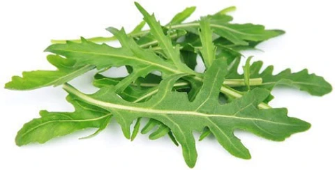 Fresh Arugula