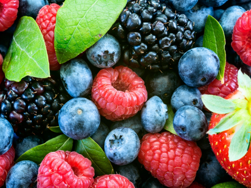 All Types of Berries
