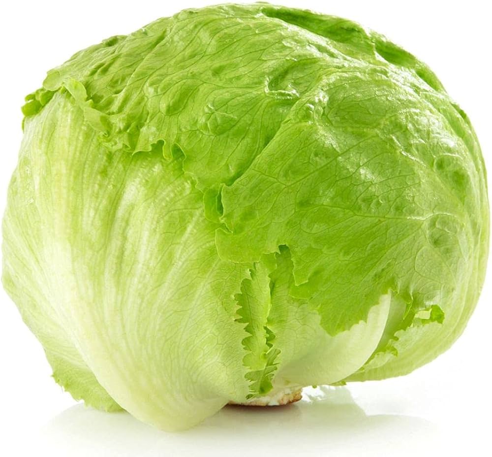 Iceberg Lettuce