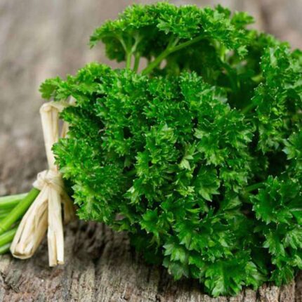 Exotic Fresh Herbs