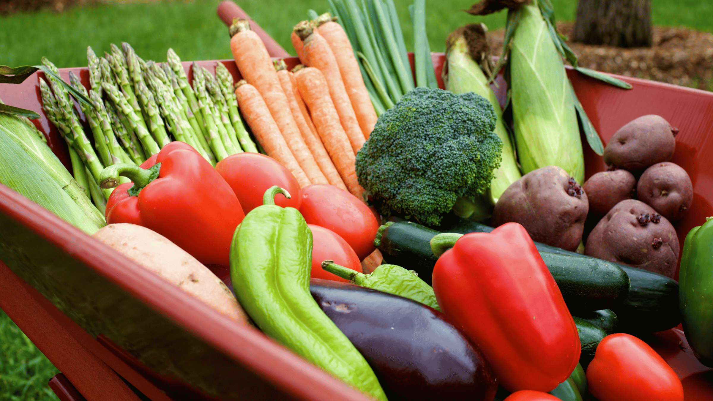 Seasonal Produce