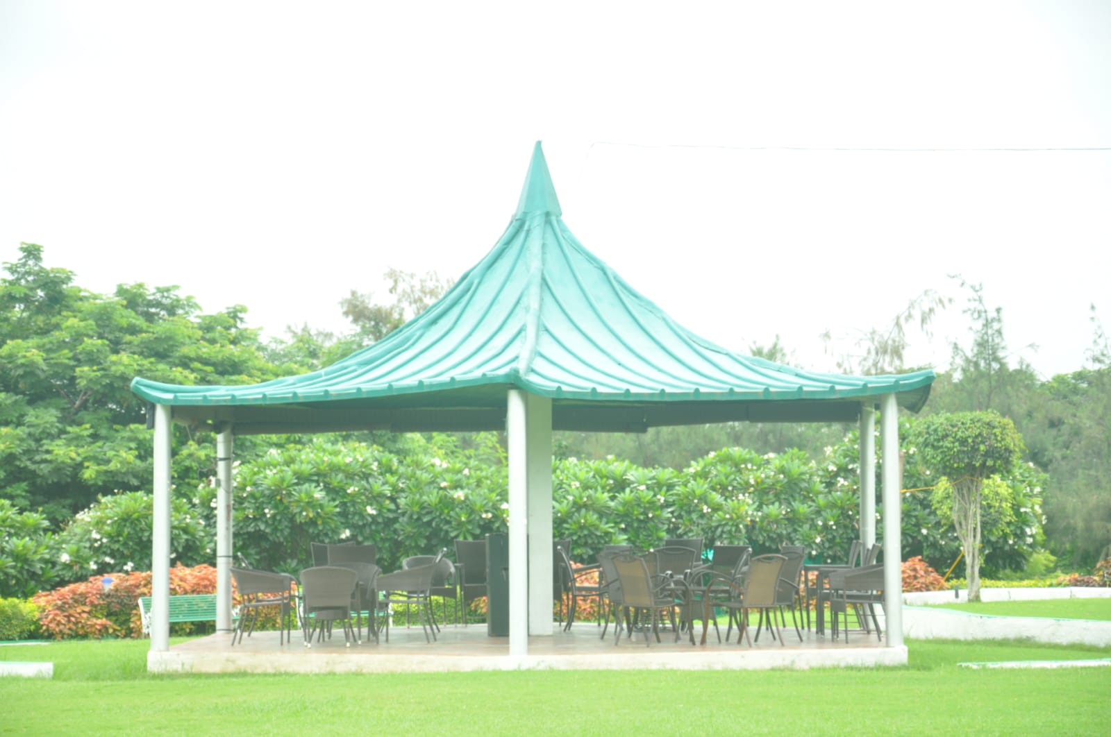 Greenery