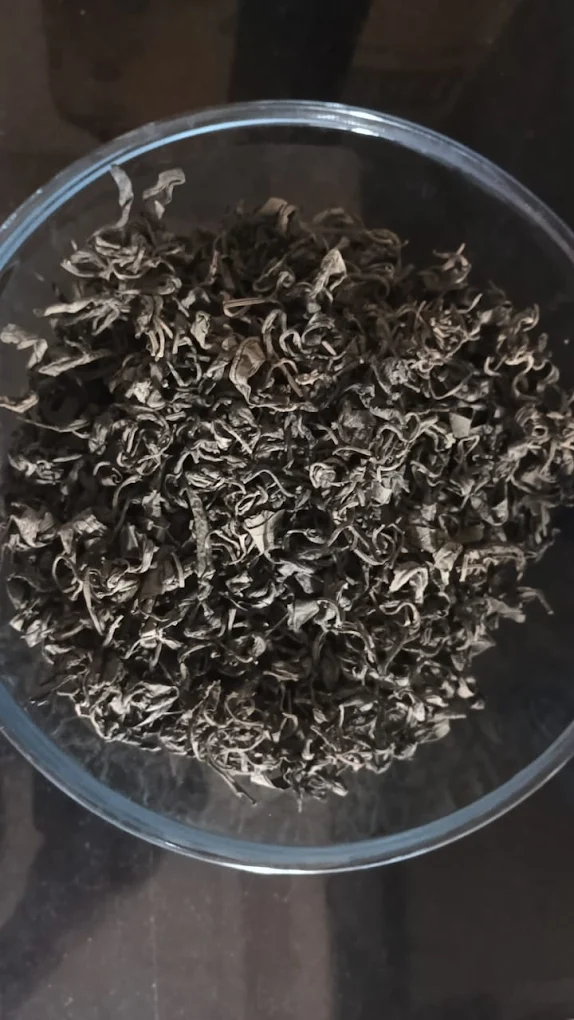 Bio Composting