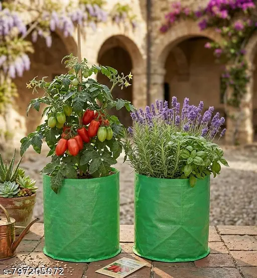 Healthy plants grown in Aditi Enterprises grow bags