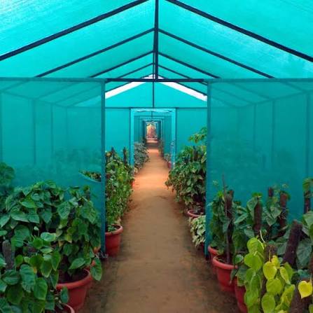 Green Shade Nets for crop protection