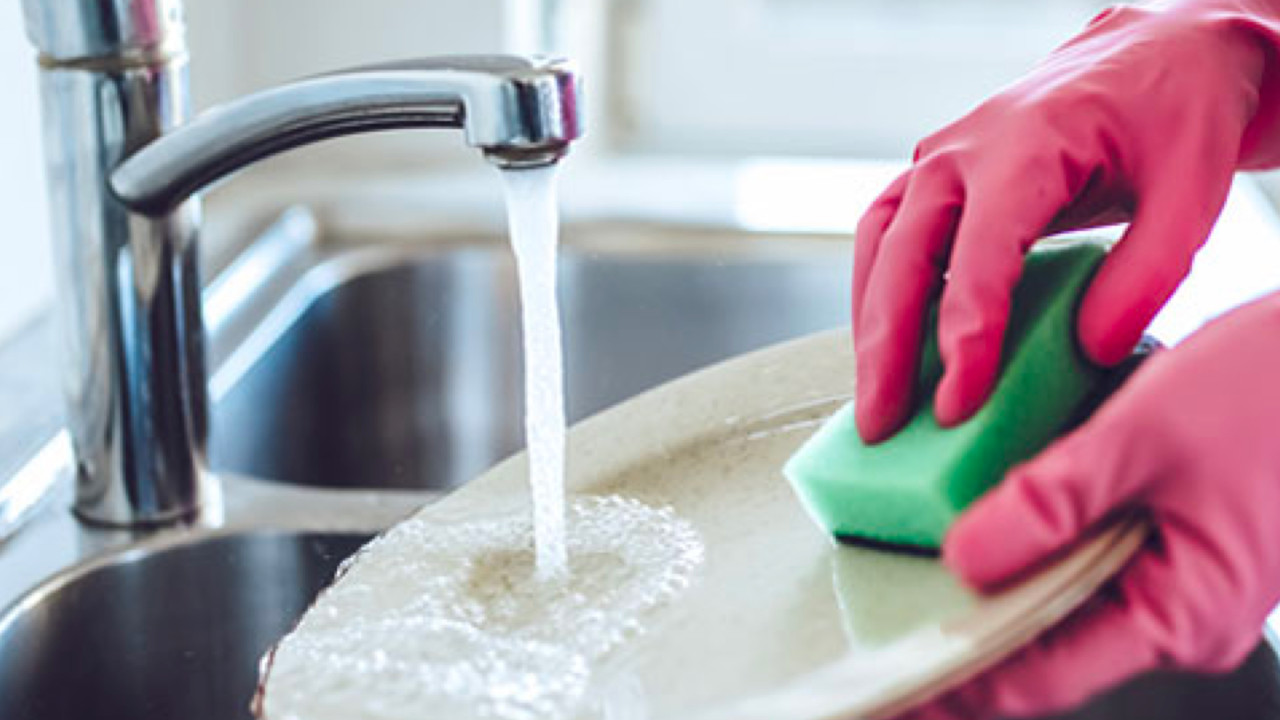 Natural Dishwash Liquid