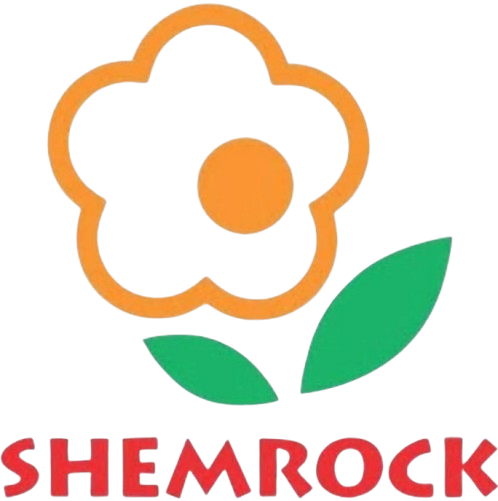 Shemrock Preschool Undri Logo - Best Preschool in Undri, Pune - Best Preschool in NIBM Road