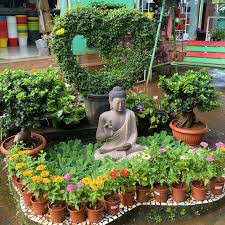 Outdoor Plants