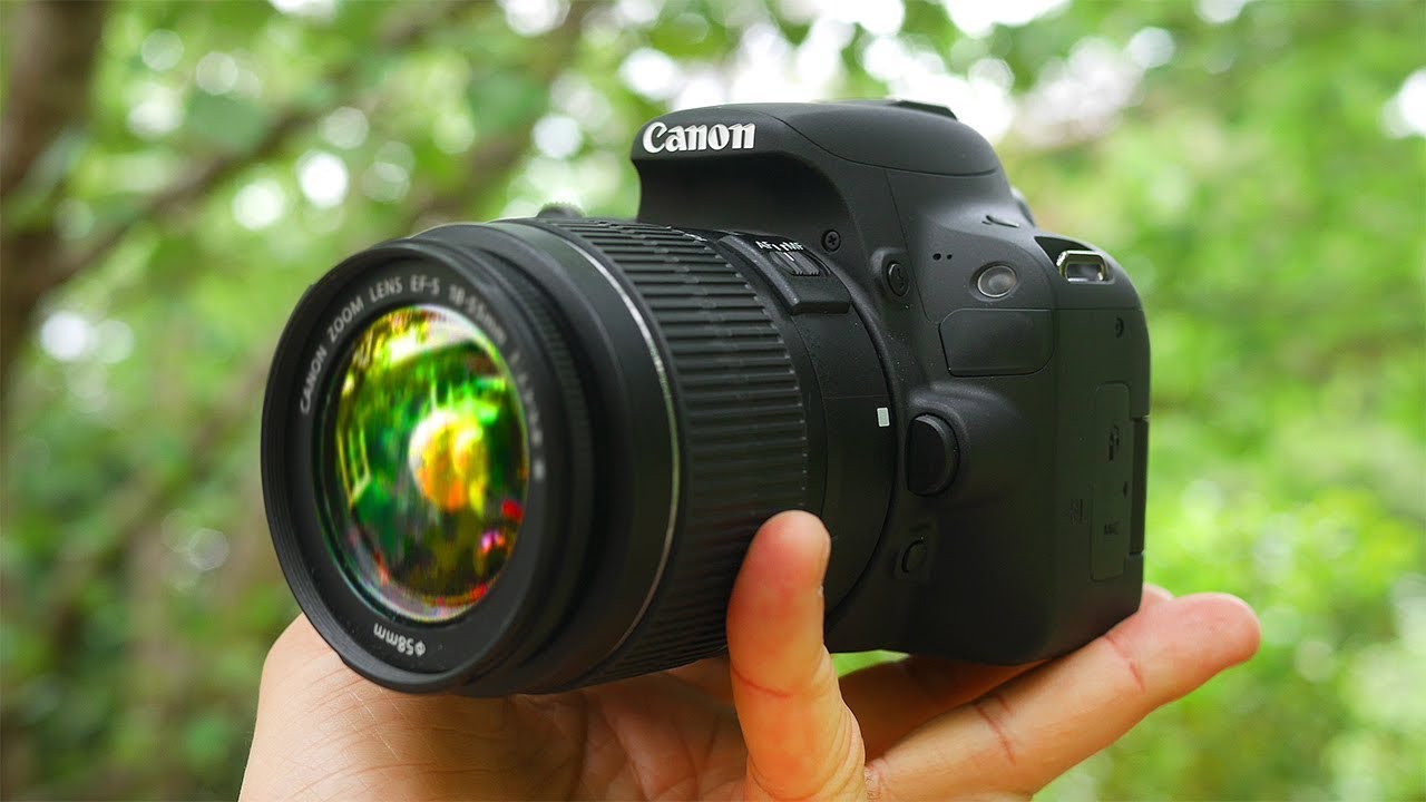 DSLR Cameras