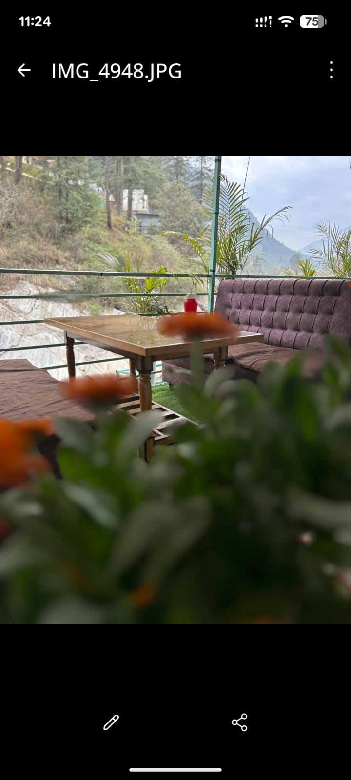 Freshly brewed coffee at Perkup Café Kasol