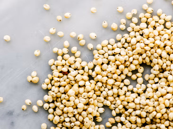 Sorghum Jowar