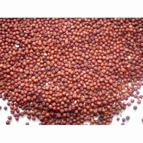 Finger Millet Ragi