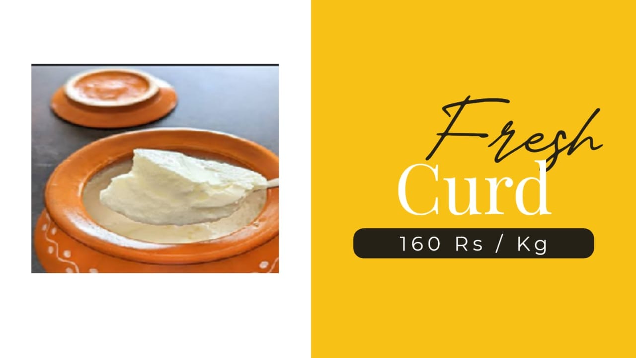 Fresh Curd (Dahi)