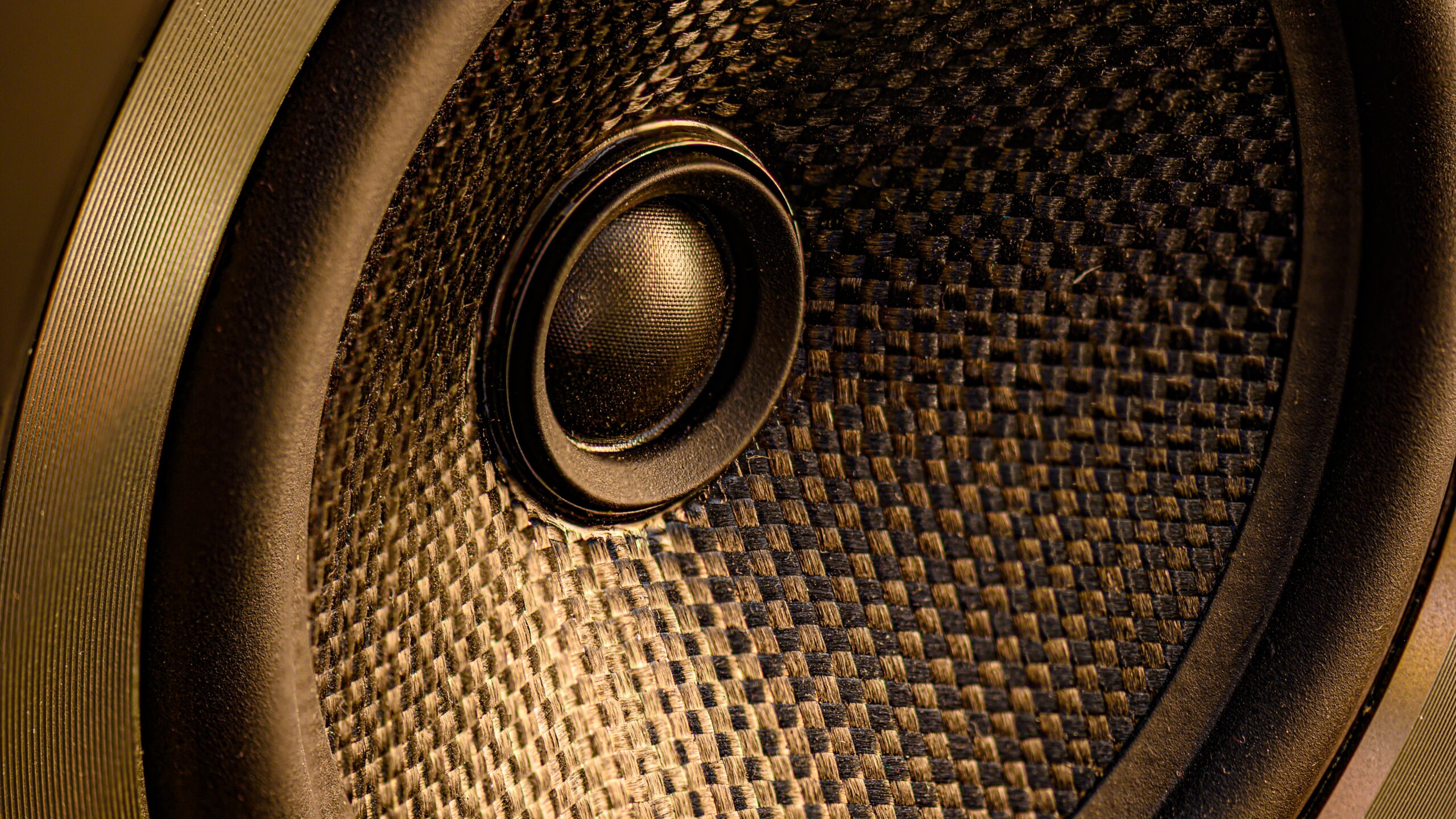 woofer speaker repair