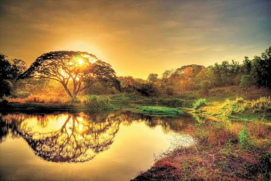 Reiki energy healing hands channelling divine light in Noida