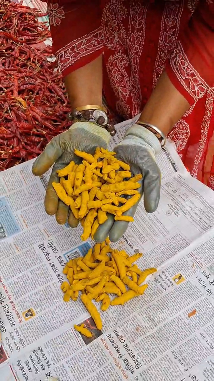 Golden turmeric powder