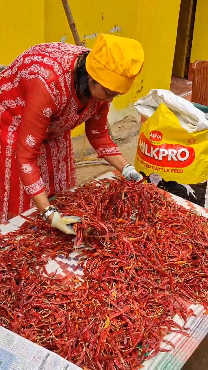Premium red chillies