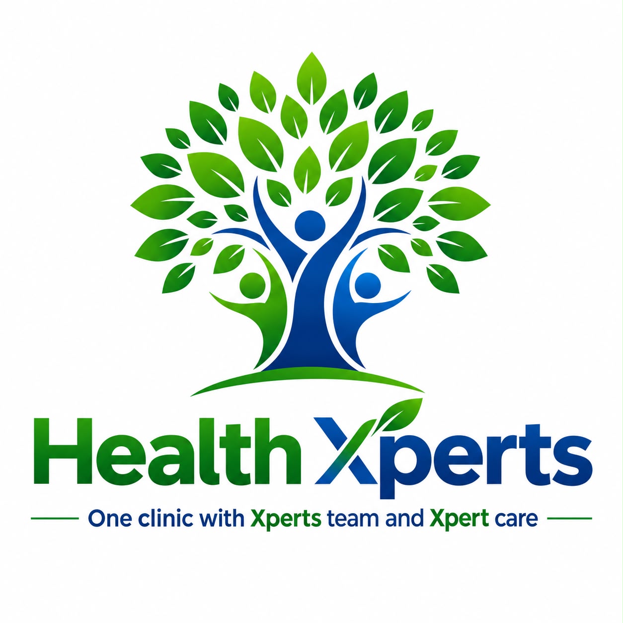 Health Xperts Physiotherapist and Chiropractor Clinic Kondapur Hyderabad Logo
