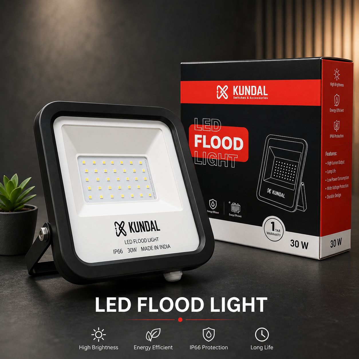 LED Flood Light