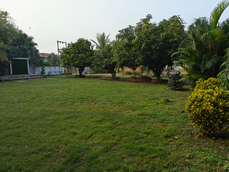 Garden area with outdoor seating at family homestay