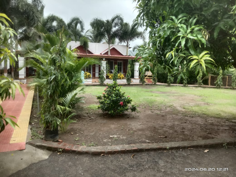 Natural surroundings with lush greenery around family homestay