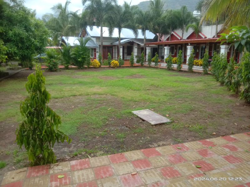 Best Family Homestay in Karjat - Madhuson Palms surrounded by tropical greenery
