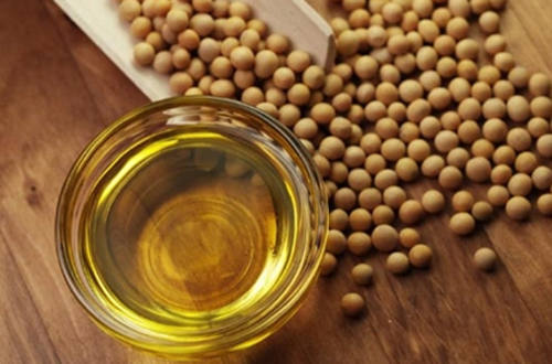 Premium Soybean Oil manufacturer in MIDC Butibori