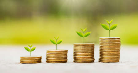 Growing stacks of golden coins with green plants – best mutual funds advisory in Mumbai
