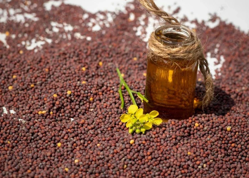 Kachi ghani black mustard oil — cold pressed oil manufacturer in Gorakhpur