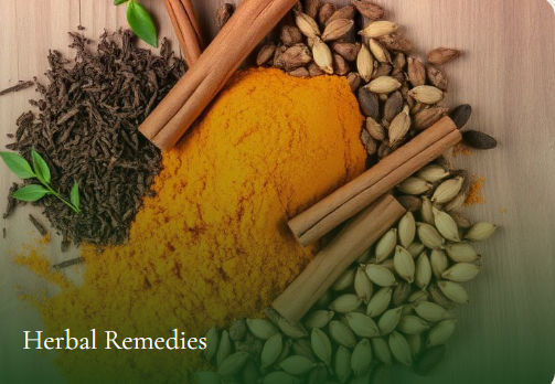 Ayurvedic herbal wellness products available at Kamdhenu Laboratories Jaipur store